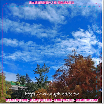 台北內湖落羽松環保吸水紙杯墊 100入(尺寸：8.5 x 8.5 cm 厚度：1.2mm 材質：環保無毒玉米紙漿大豆油墨印製，最天然環保無毒的印刷）