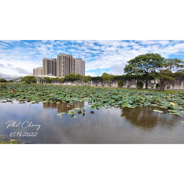 【台灣風景明信片-Taiwan Landscape Postcard】新北市板橋新海溼地-148 mm X 105 mm